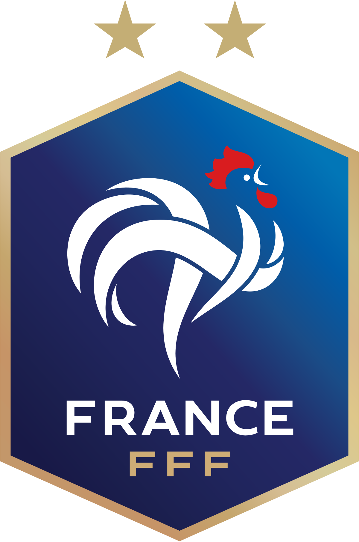 REPLAY WEBINAR PTH VOIE ANTERIEURE ASIA - PTH & SPORT